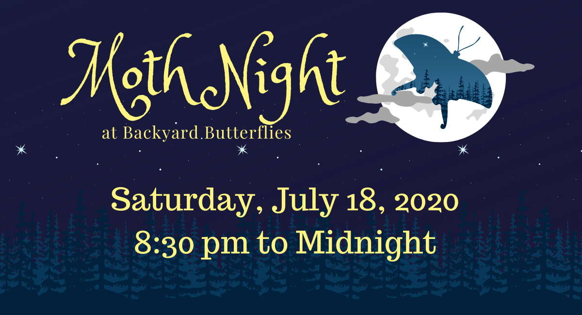 Moth Night Dark Newsletter